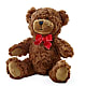 Adorable Plush Bear – MAYA'S FLOWER SHOP, Carmichael CA