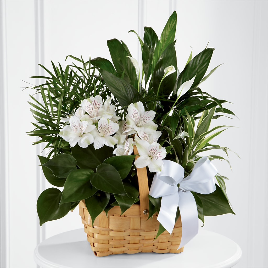 Peace & Serenity Dishgarden – MAYA'S FLOWER SHOP, Carmichael CA