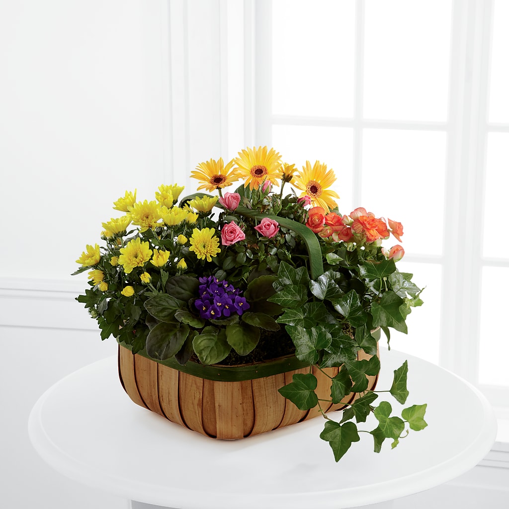 Gentle Blossoms Basket – MAYA'S FLOWER SHOP, Carmichael CA