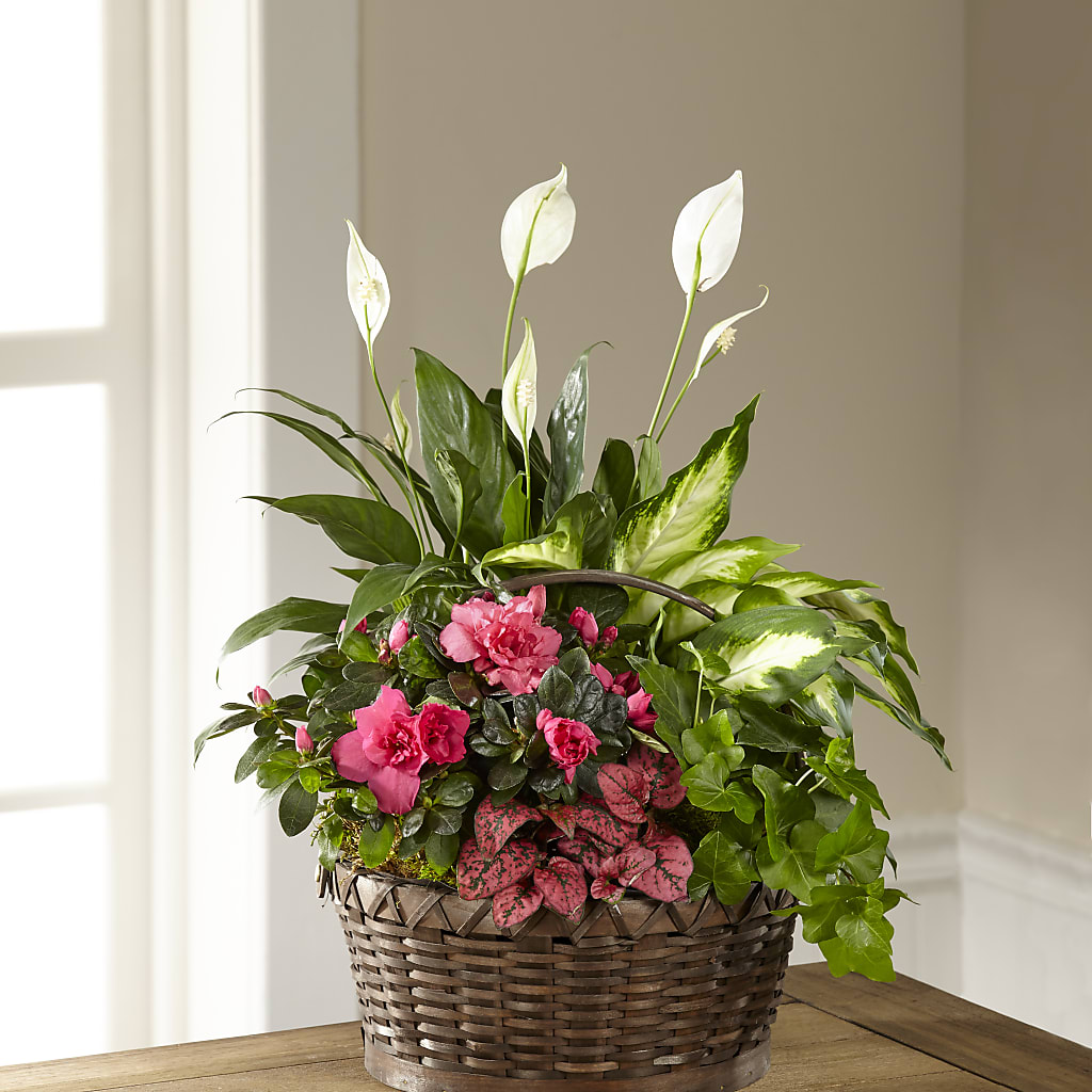 Dream in Pink Dishgarden – MAYA'S FLOWER SHOP, Carmichael CA