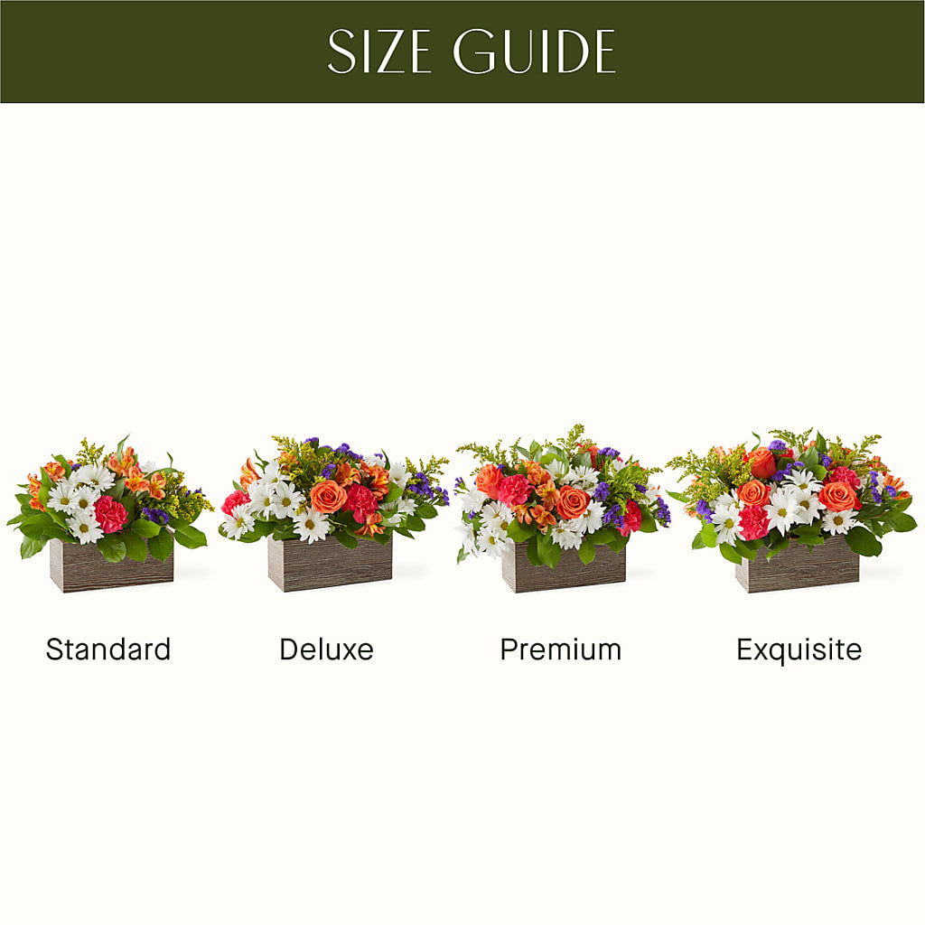 Oopsie Daisy Box Bouquet – MAYA'S FLOWER SHOP, Carmichael CA