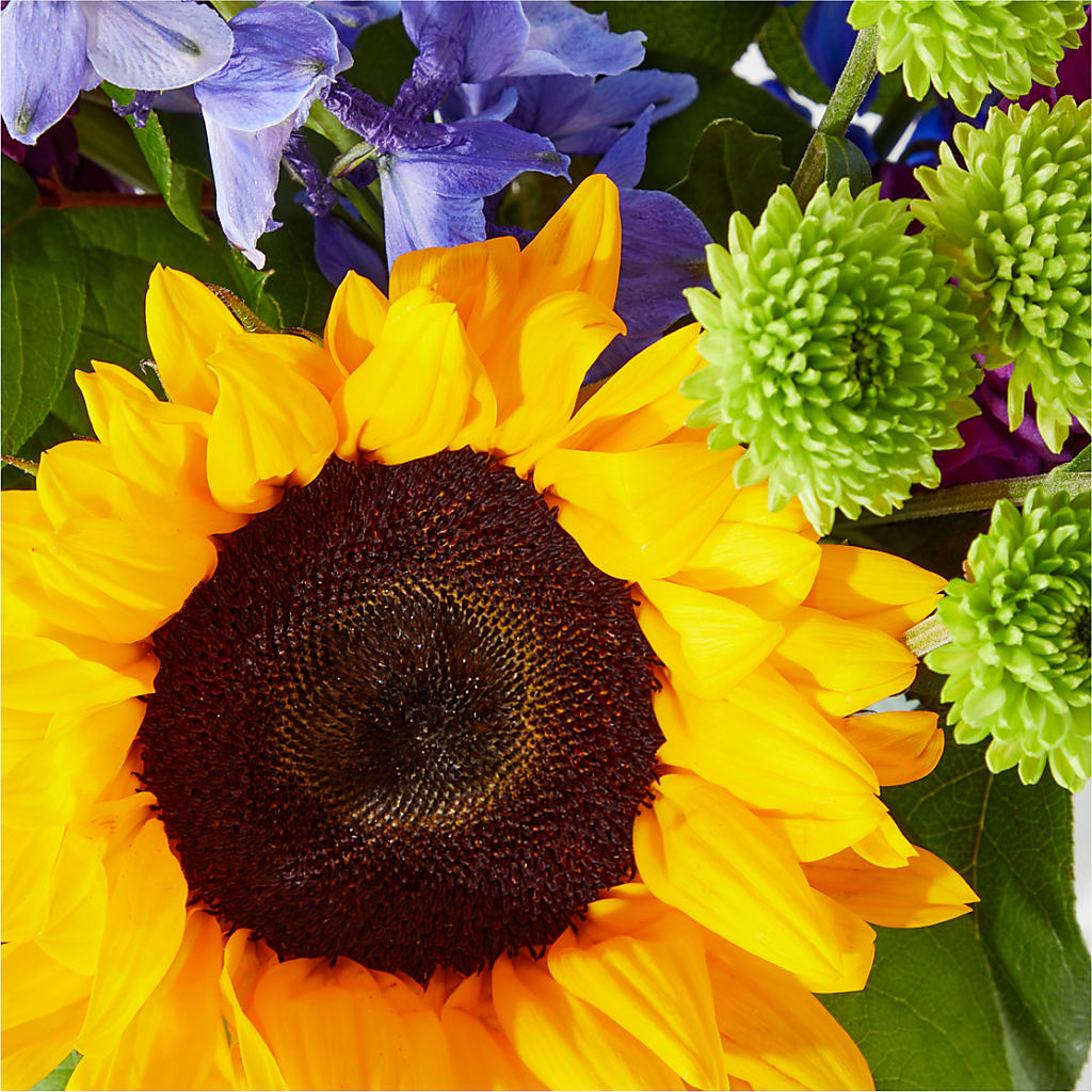 Catching Rays Bouquet – MAYA'S FLOWER SHOP, Carmichael CA