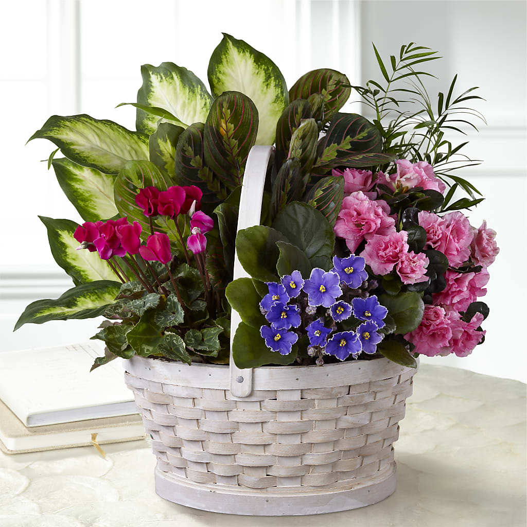 Peaceful Garden Planter – MAYA'S FLOWER SHOP, Carmichael CA