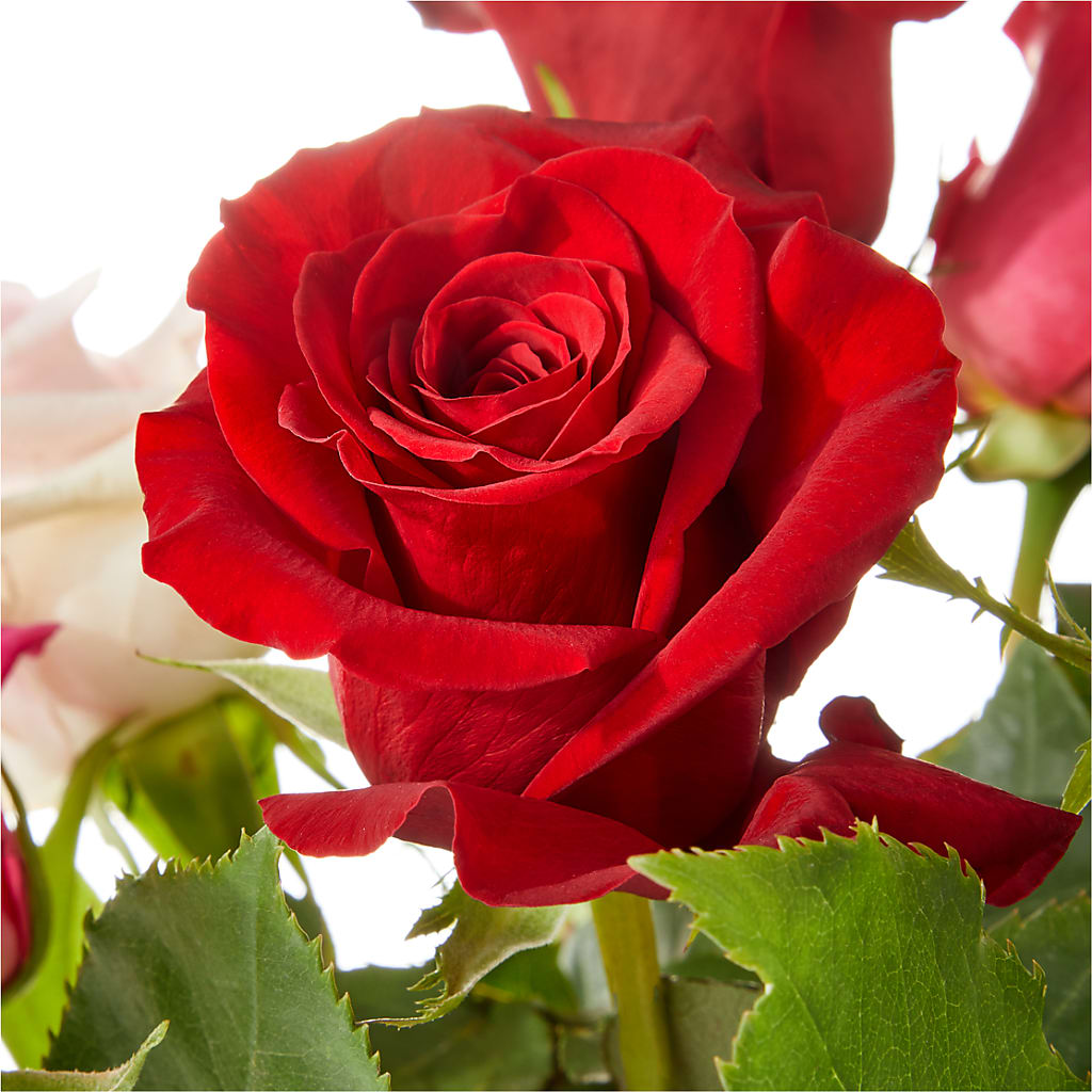 Love Notes Rose Bouquet – MAYA'S FLOWER SHOP, Carmichael CA