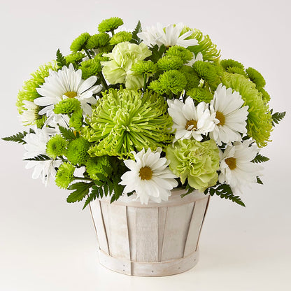 Lucky Charm Basket (Standard) – MAYA'S FLOWER SHOP, Carmichael CA