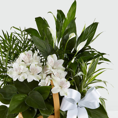 Peace & Serenity Dishgarden – MAYA'S FLOWER SHOP, Carmichael CA