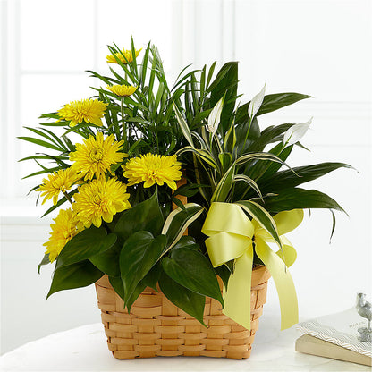 Loving Light Dishgarden – MAYA'S FLOWER SHOP, Carmichael CA
