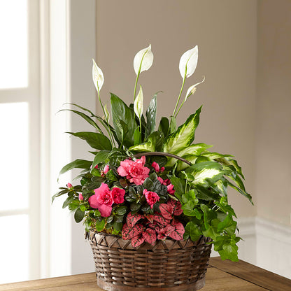 Dream in Pink Dishgarden – MAYA'S FLOWER SHOP, Carmichael CA