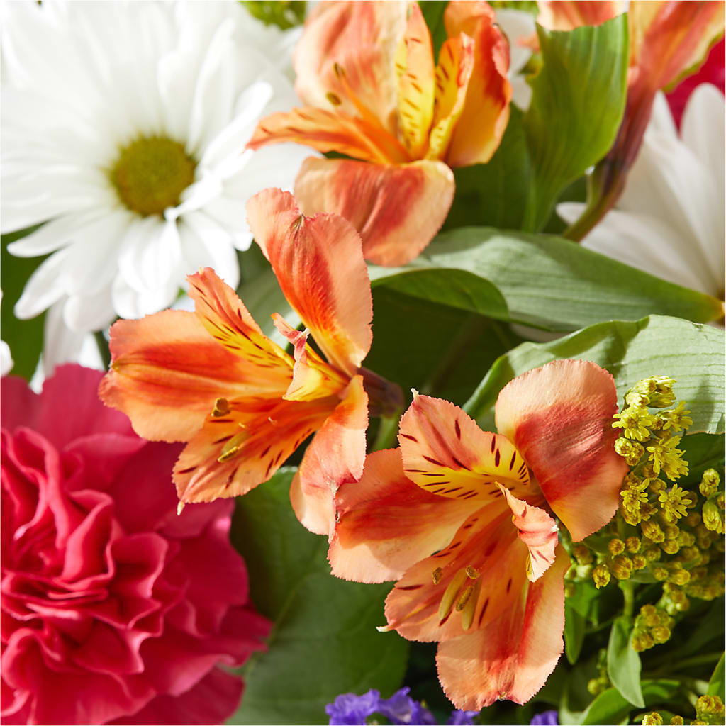 Oopsie Daisy Box Bouquet – MAYA'S FLOWER SHOP, Carmichael CA