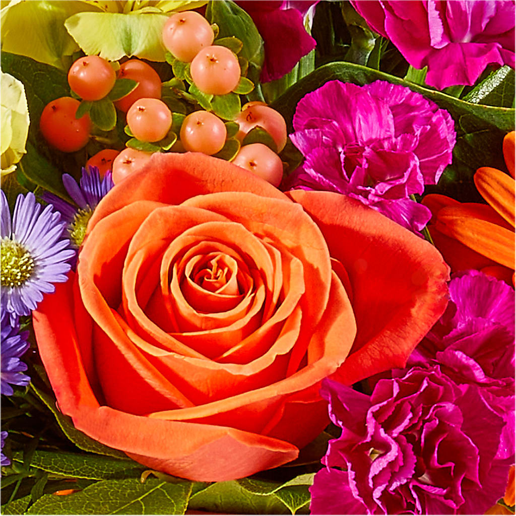 Tricks & Treats Pumpkin – MAYA'S FLOWER SHOP, Carmichael CA