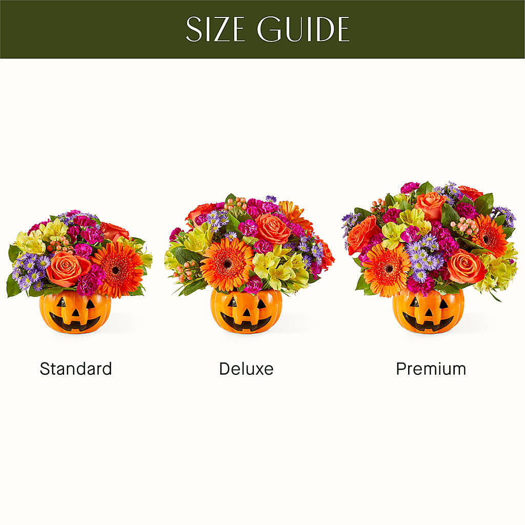 Tricks & Treats Pumpkin – MAYA'S FLOWER SHOP, Carmichael CA