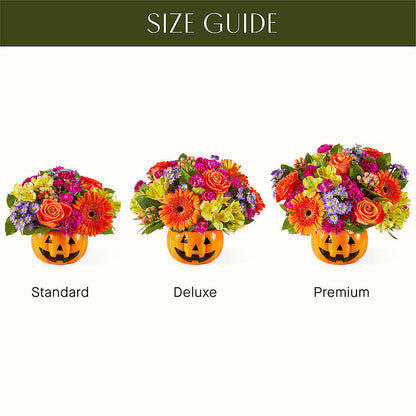 Tricks & Treats Pumpkin – MAYA'S FLOWER SHOP, Carmichael CA
