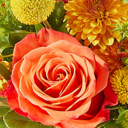 Gourdgeous Pumpkin – MAYA'S FLOWER SHOP, Carmichael CA