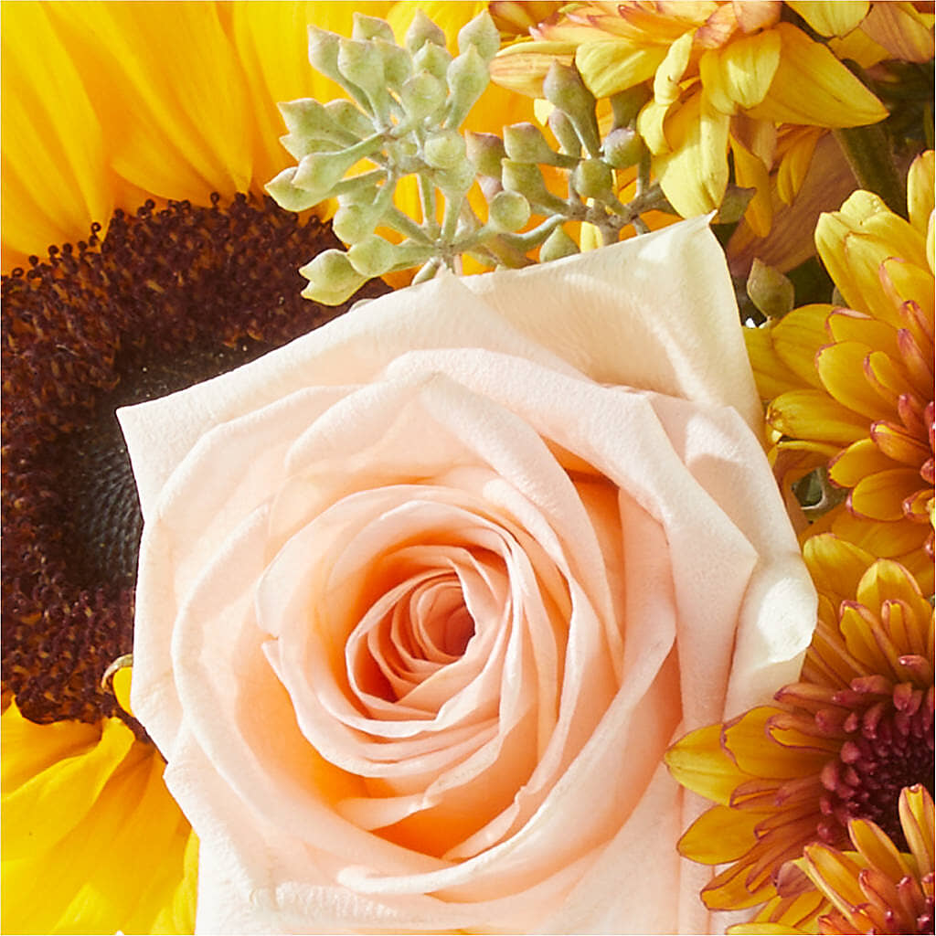 Pumpkin to Talk About Bouquet – MAYA'S FLOWER SHOP, Carmichael CA