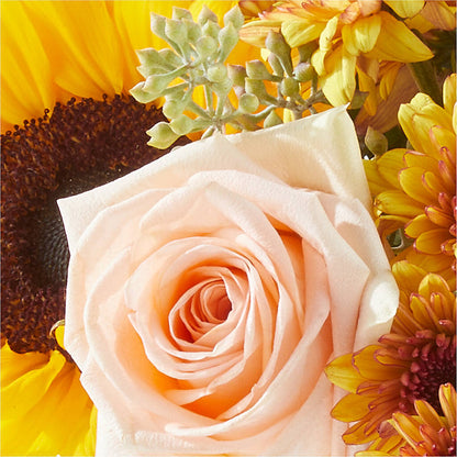 Pumpkin to Talk About Bouquet – MAYA'S FLOWER SHOP, Carmichael CA