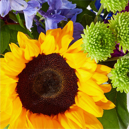 Catching Rays Bouquet – MAYA'S FLOWER SHOP, Carmichael CA