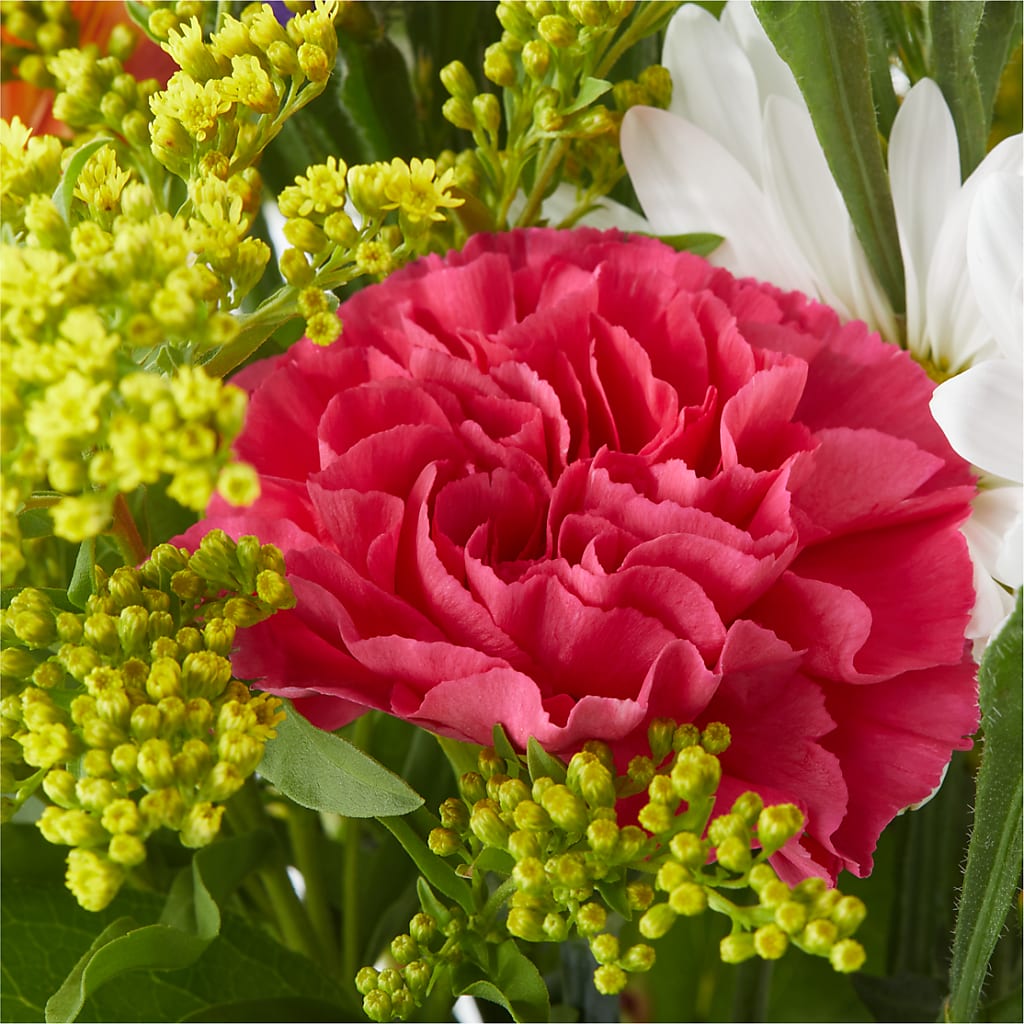 Oopsie Daisy Bouquet – MAYA'S FLOWER SHOP, Carmichael CA