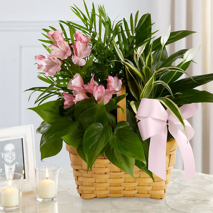 Living Spirit Dishgarden – MAYA'S FLOWER SHOP, Carmichael CA