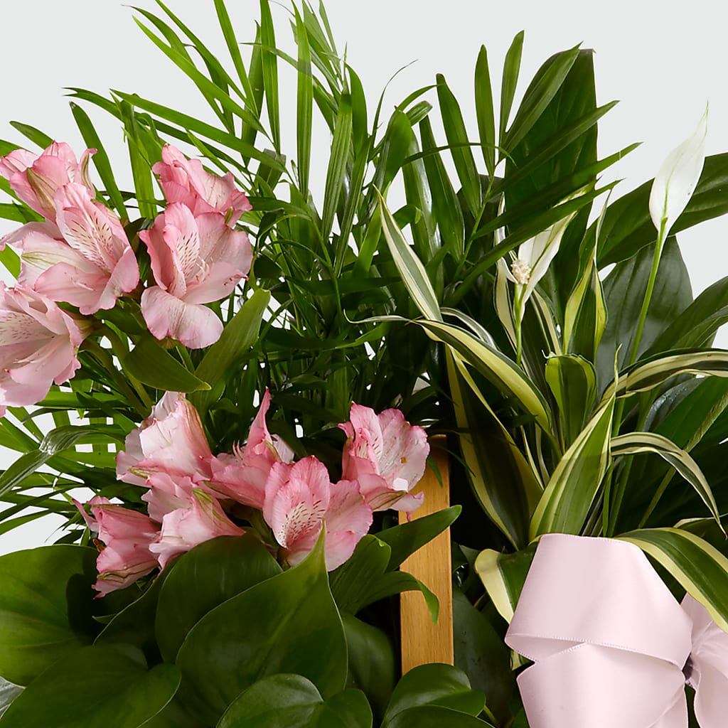 Living Spirit Dishgarden – MAYA'S FLOWER SHOP, Carmichael CA