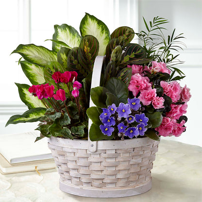 Peaceful Garden Planter – MAYA'S FLOWER SHOP, Carmichael CA