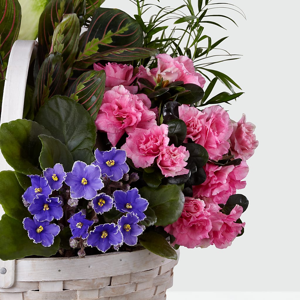 Peaceful Garden Planter – MAYA'S FLOWER SHOP, Carmichael CA