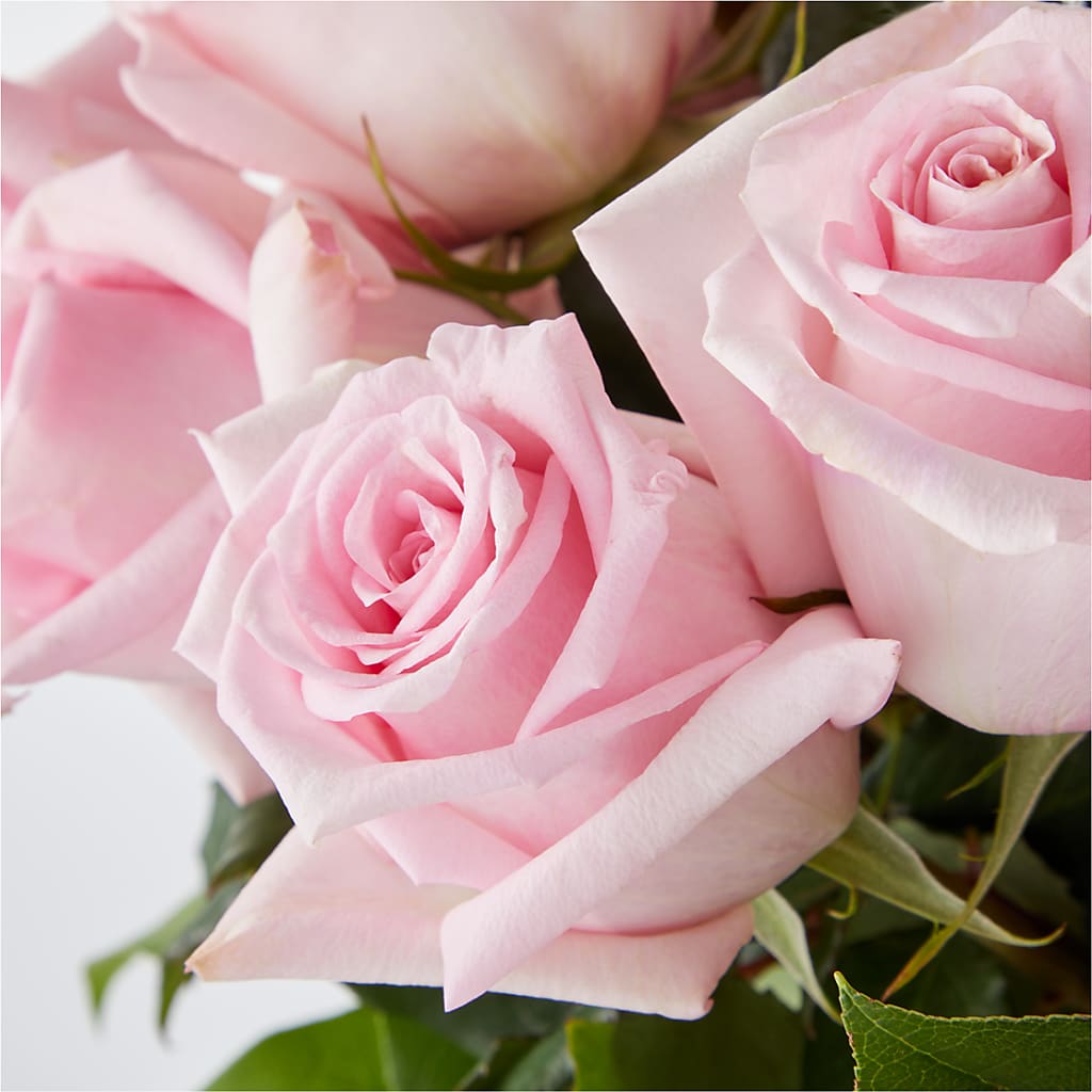 Picture Perfect Pink Rose Bouquet – MAYA'S FLOWER SHOP, Carmichael CA