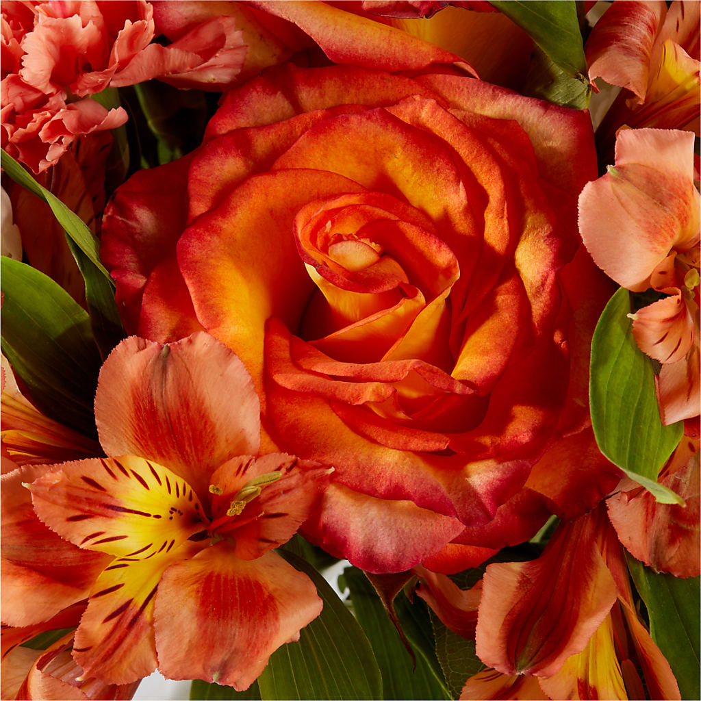 Apricot Glow Bouquet – MAYA'S FLOWER SHOP, Carmichael CA