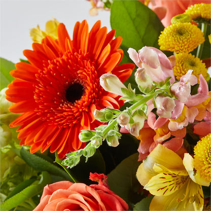 Autumn Sunshine Bouquet – MAYA'S FLOWER SHOP, Carmichael CA