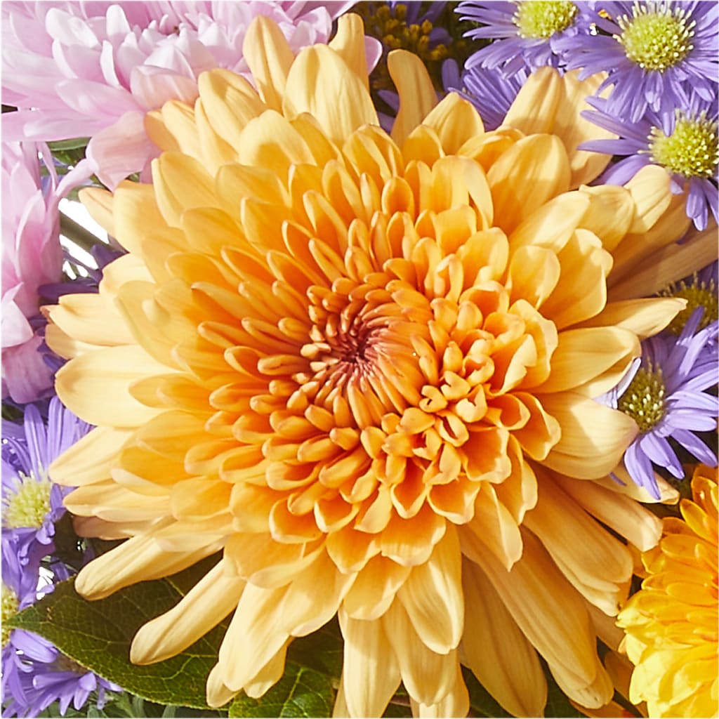 Countryside Bouquet – MAYA'S FLOWER SHOP, Carmichael CA
