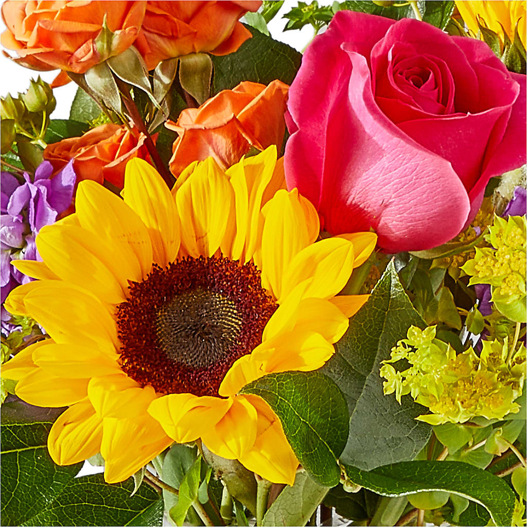 Vibrant Greetings Bouquet – MAYA'S FLOWER SHOP, Carmichael CA