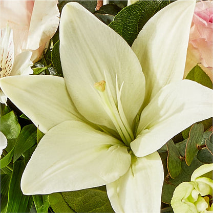 Ballet Slippers Bouquet – MAYA'S FLOWER SHOP, Carmichael CA