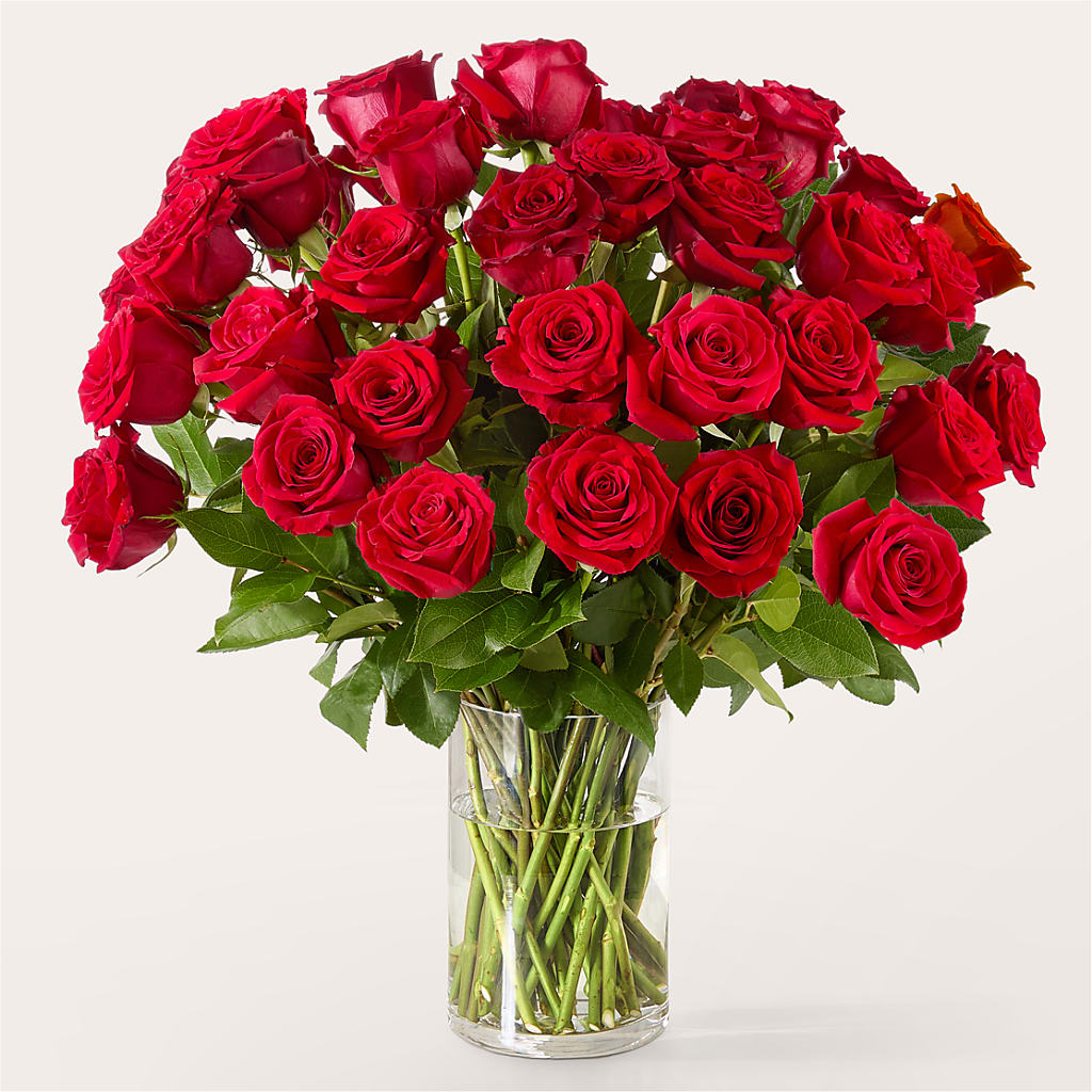 The One Red Rose Bouquet – MAYA'S FLOWER SHOP, Carmichael CA
