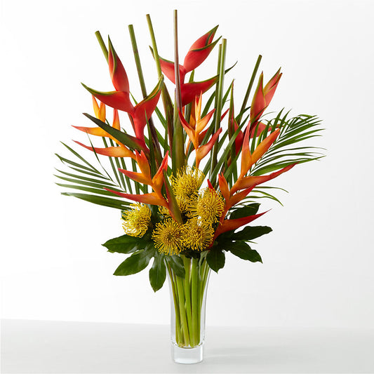 The Drama – MAYA'S FLOWER SHOP, Carmichael CA