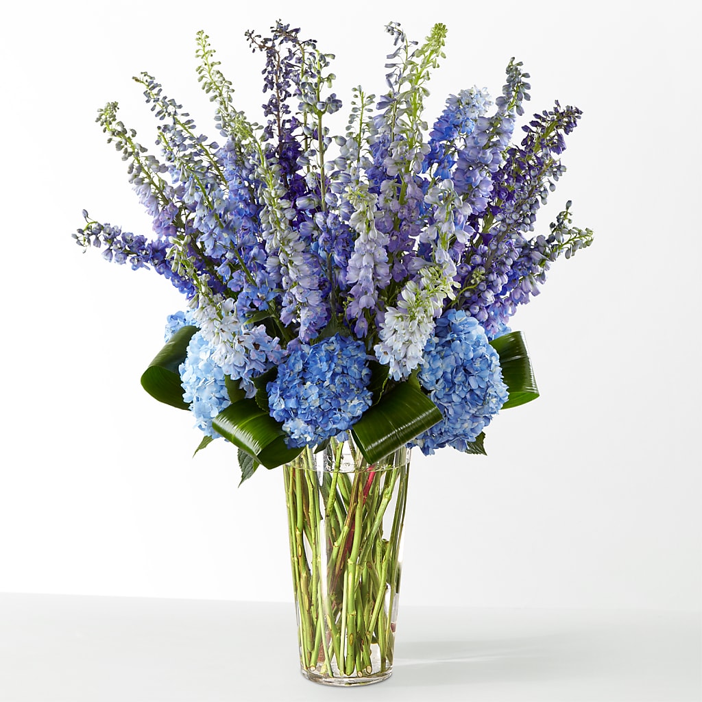 The Editorial – MAYA'S FLOWER SHOP, Carmichael CA